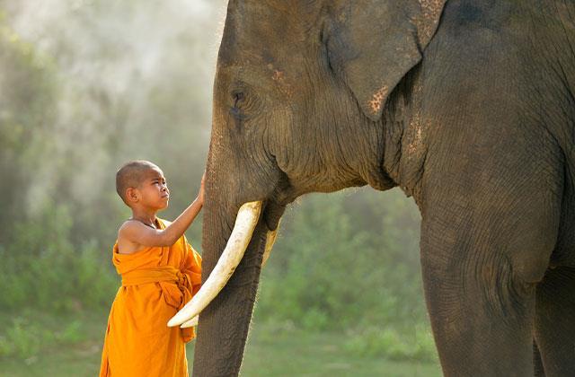 Bu ülkeye gittiğinizde sakın bir çocuğun başını okşamayın! Bu ülkeye gittiğinizde sakın bir çocuğun başını okşamayın!