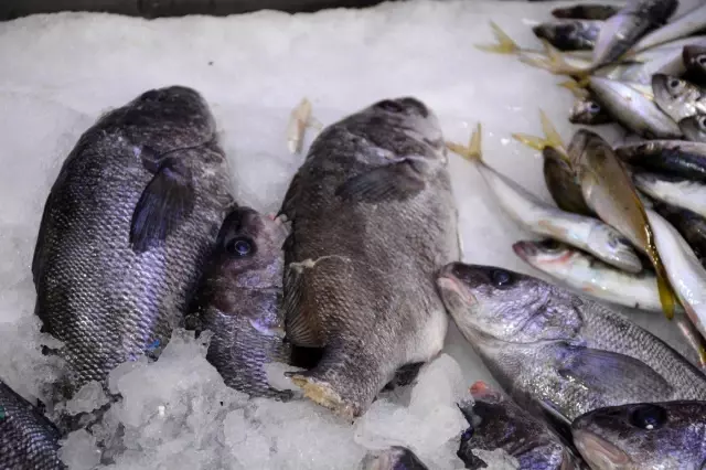 Böbrek taşı düşürdüğüne inanılan eşkina balığındaki taşlar 5 TL'den alıcı buluyor