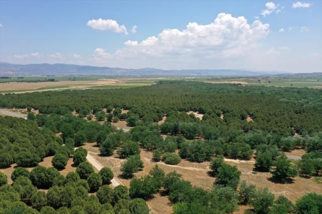 Arabistan değil Türkiye! Çöle benzediği için dizi çekilmişti, şimdi görenlerin ağzı açık kalıyor