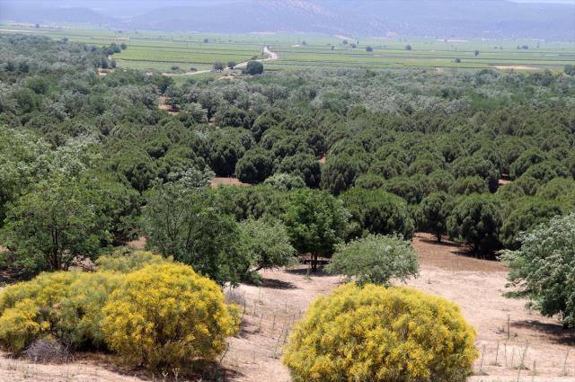 Arabistan değil Türkiye! Çöle benzediği için dizi çekilmişti, şimdi görenlerin ağzı açık kalıyor