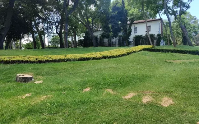 İBB'nin Emirgan'da 130 ağacı izinsiz kestiği ihbarı, Orman Müdürlüğü ekiplerini harekete geçirdi İBB'nin Emirgan'da 130 ağacı izinsiz kestiği ihbarı, Orman Müdürlüğü ekiplerini harekete geçirdi