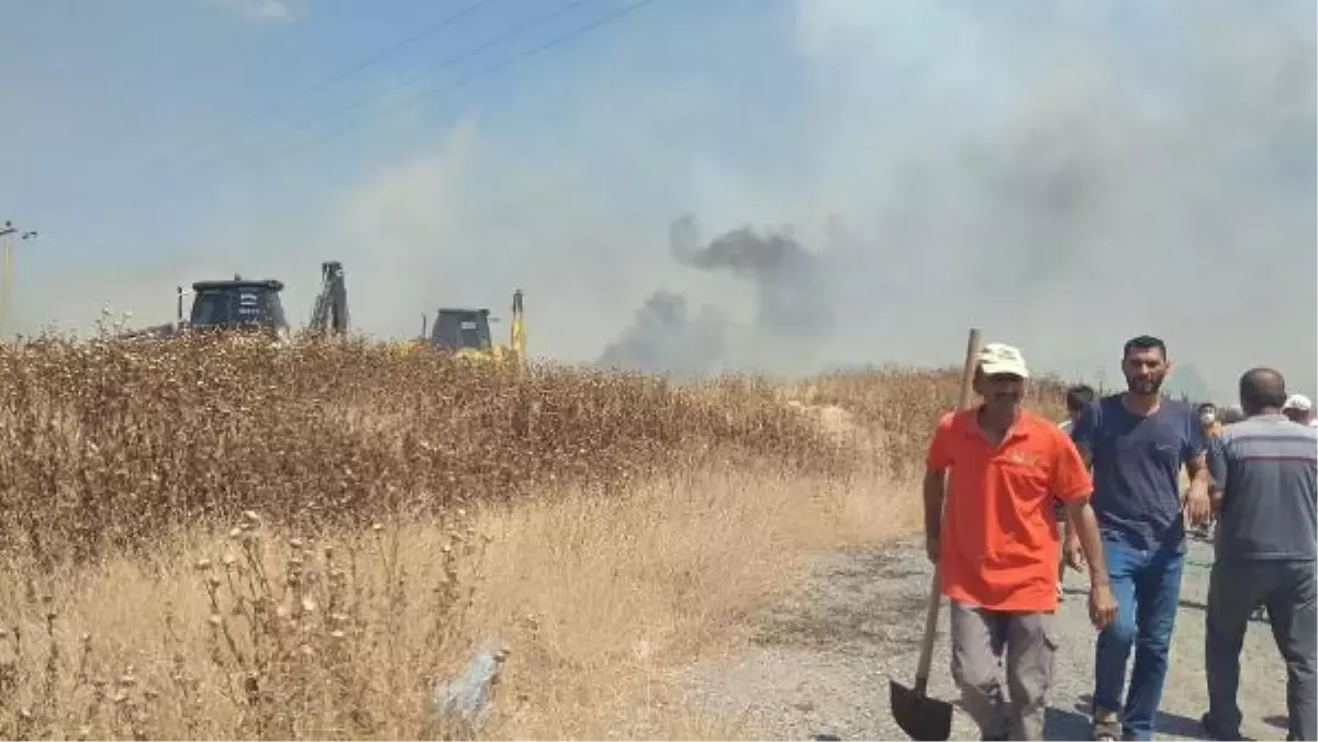Son dakika! İzmir'de orman yangını (2)