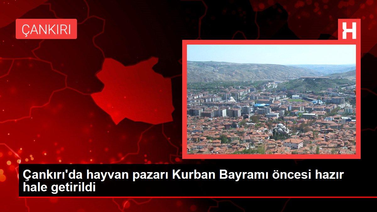 Çankırı'da hayvan pazarı Kurban Bayramı öncesi hazır hale getirildi ...