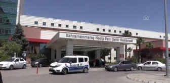 KAHRAMANMARAŞ - Kırlangıçlar hastane koridoruna yuva yaptı