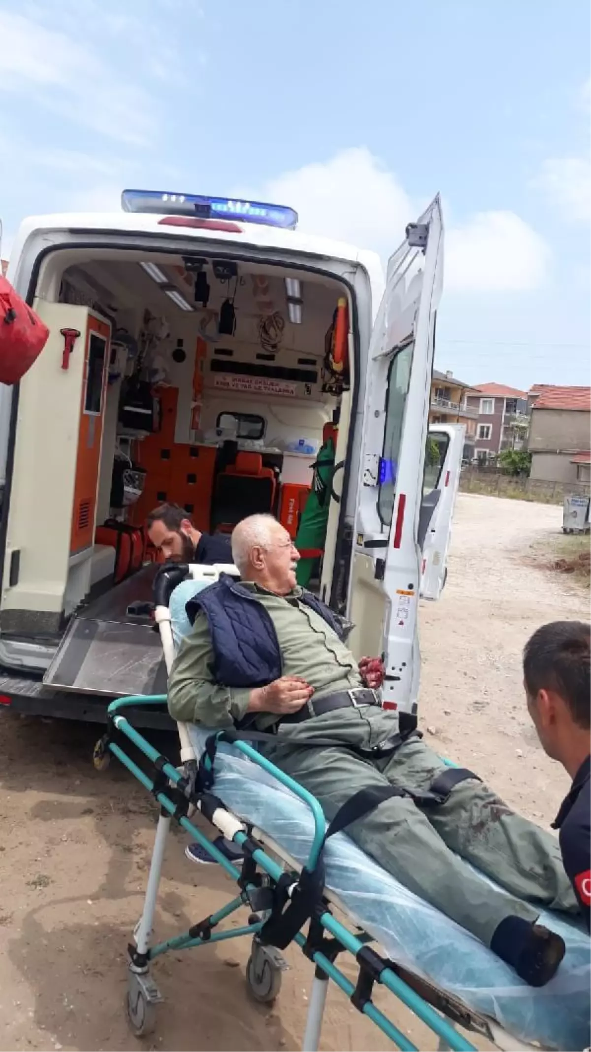 Son dakika haber! Sokak köpeklerinin saldırısında damarı parçalandı
