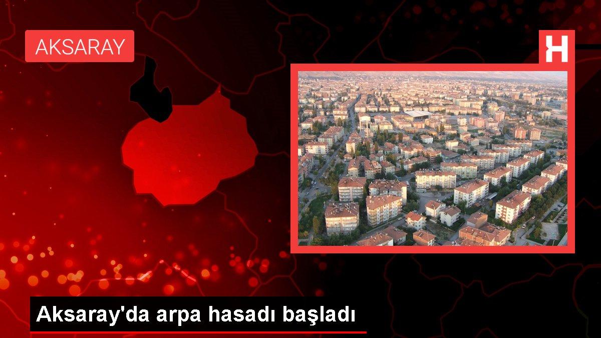 Aksaray'da arpa hasadı başladı