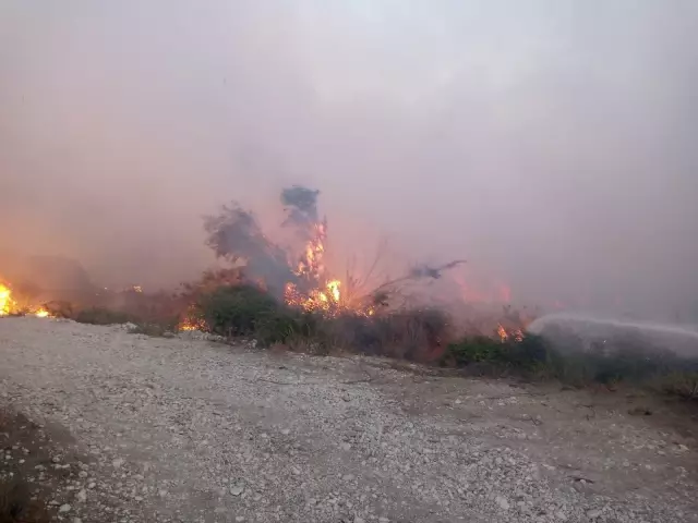 Antalya'da zeytinlik ve sazlık alanda yangın çıktı! Çok sayıda ekip bölgeye sevk edildi