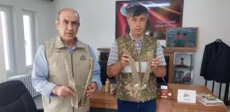 Baskın yapılan evde bulunan keçi boynuzları için ev sahibine yarım milyon ceza kesildi