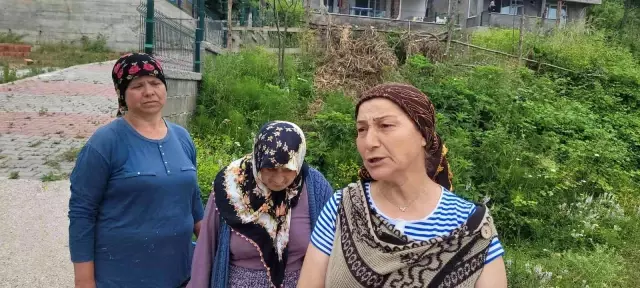 Bir mahalleyi ayı korkusu sardı: 'Evlerimizden çıkamıyoruz' Bir mahalleyi ayı korkusu sardı: 'Evlerimizden çıkamıyoruz'