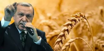 Kilidin anahtarı Türkiye'nin elinde! Dünyayı tedirgin eden gıda krizinin çözümü için İstanbul'da 4'lü zirve yapılacak