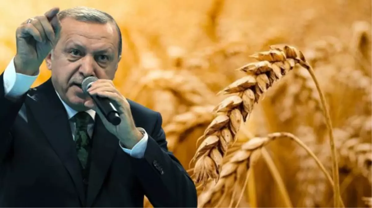 Kilidin anahtarı Türkiye'nin elinde! Dünyayı tedirgin eden gıda krizinin çözümü için İstanbul'da 4'lü zirve yapılacak