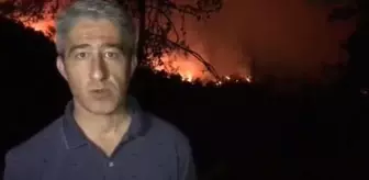 Marmaris Belediye Başkanı'ndan orman yangına ilişkin ilk açıklama: Durumumuz parlak gözükmüyor