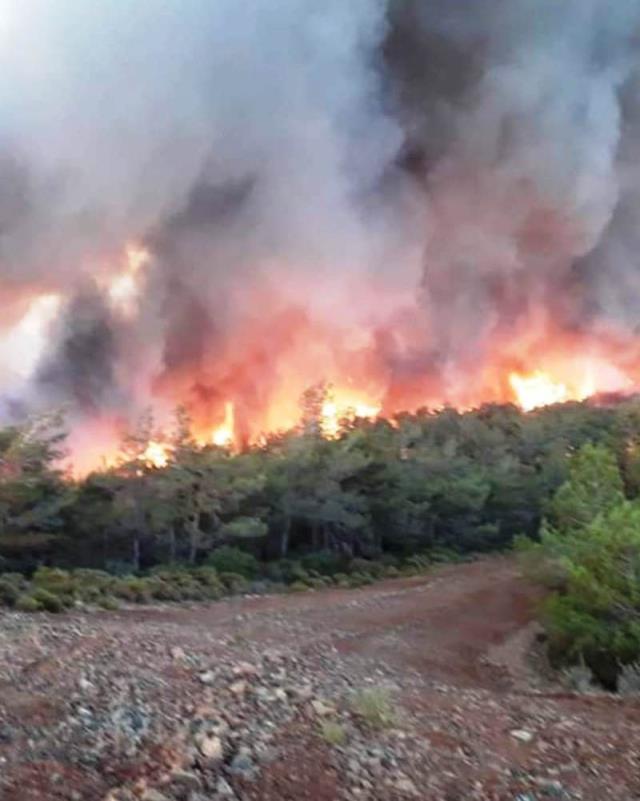 Muğla Marmaris yangın son durum! 21 Haziran 2022 Muğla-Marmaris yangını söndürüldü mü, yangında son durum nedir? Yangın devam ediyor mu?