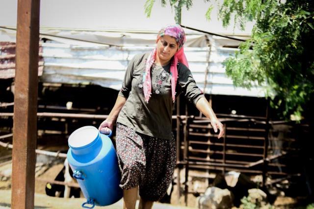 Evde canı sıkılan kadın, hayvancılık işine girip 5 milyon liralık servet sahibi oldu Evde canı sıkılan kadın, hayvancılık işine girip 5 milyon liralık servet sahibi oldu