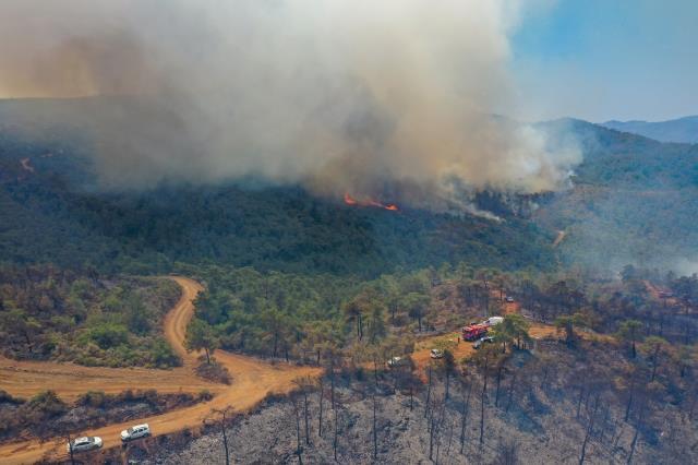 Marmaris'teki orman yangını kuzey bölgeleri esir aldı! 20 ev boşaltıldı Marmaris'teki orman yangını kuzey bölgeleri esir aldı! 20 ev boşaltıldı