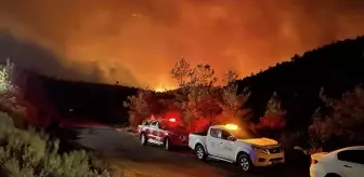 Marmaris'teki orman yangınının çıkış sebebiyle ilgili sabotaj ihtimali üzerinde duruluyor
