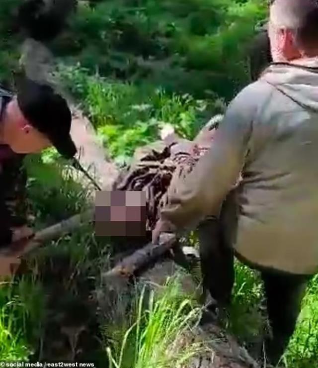 Vurduğu ayının yanına giden 62 yaşındaki avcı hayatının hatasını yaptı Vurduğu ayının yanına giden 62 yaşındaki avcı hayatının hatasını yaptı