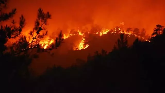 Yangın yerleşim yerlerine doğru ilerliyor! Vatandaşlar evlerinden tahliye edilmeye başlandı Yangın yerleşim yerlerine doğru ilerliyor! Vatandaşlar evlerinden tahliye edilmeye başlandı