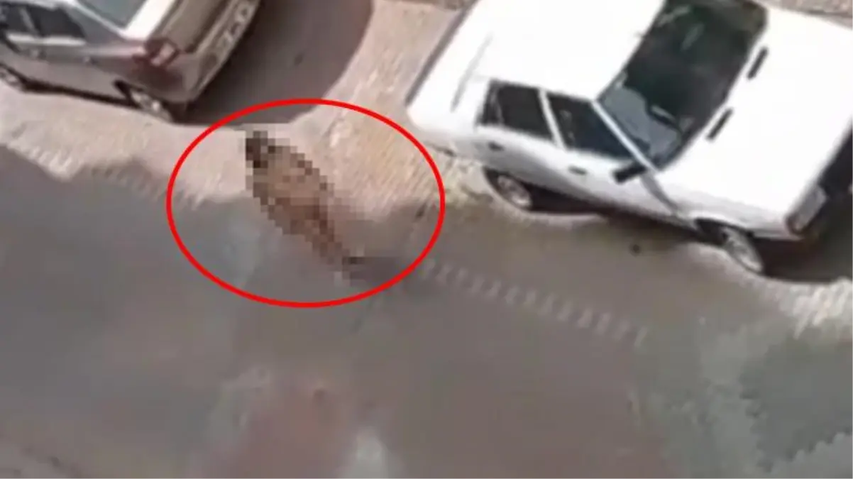 Görüntü Türkiye'den! Kadın çırılçıplak sokakta dolaştı, çevredekiler o anları kayda aldı