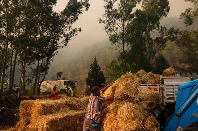 Marmaris'te alevlerle mücadele devam ediyor! Bakan Kirişçi son durumu paylaştı: Bugün olumlu ve somut gelişmeler bekliyoruz Marmaris'te alevlerle mücadele devam ediyor! Bakan Kirişçi son durumu paylaştı: Bugün olumlu ve somut gelişmeler bekliyoruz