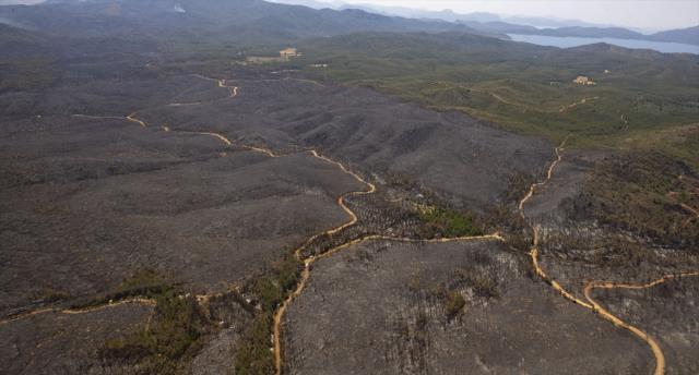 Marmaris'te orman yangının ilk başladığı nokta havadan görüntülendi, manzara yürek yakıyor Marmaris'te orman yangının ilk başladığı nokta havadan görüntülendi, manzara yürek yakıyor
