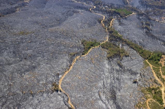 Marmaris'te orman yangının ilk başladığı nokta havadan görüntülendi, manzara yürek yakıyor Marmaris'te orman yangının ilk başladığı nokta havadan görüntülendi, manzara yürek yakıyor