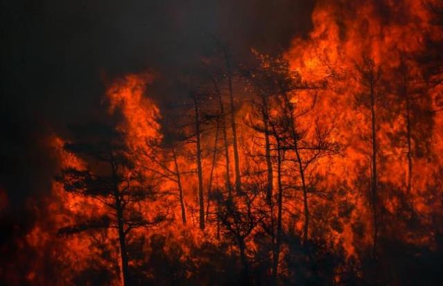 Marmaris yangını söndürüldü mü, son durum nedir? 23 Haziran Muğla Marmaris yangın söndürme çalışmaları devam ediyor mu? Yangın devam mı ediyor?