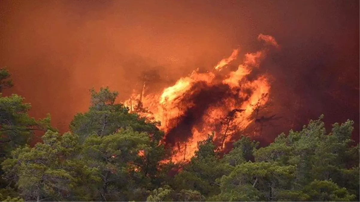 Son Dakika: Marmaris'teki orman yangınıyla ilgili gözaltına alınan şüpheli suçunu itiraf etti