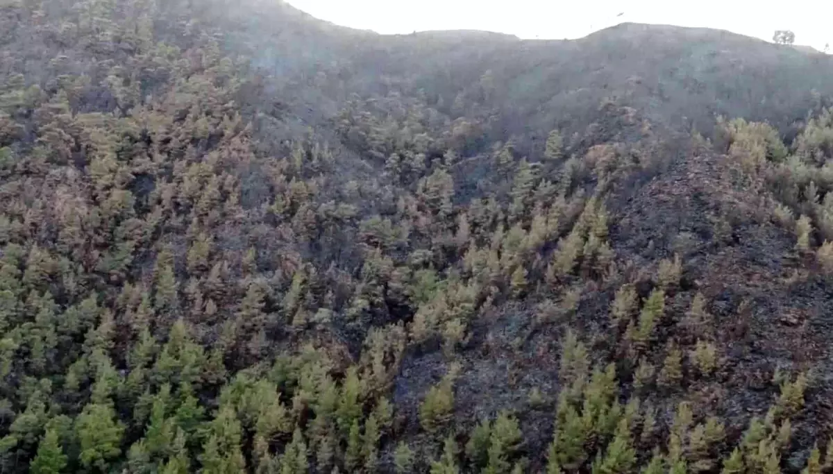 Marmaris'te yürekleri dağlayan kara tablo havadan görüntülendi