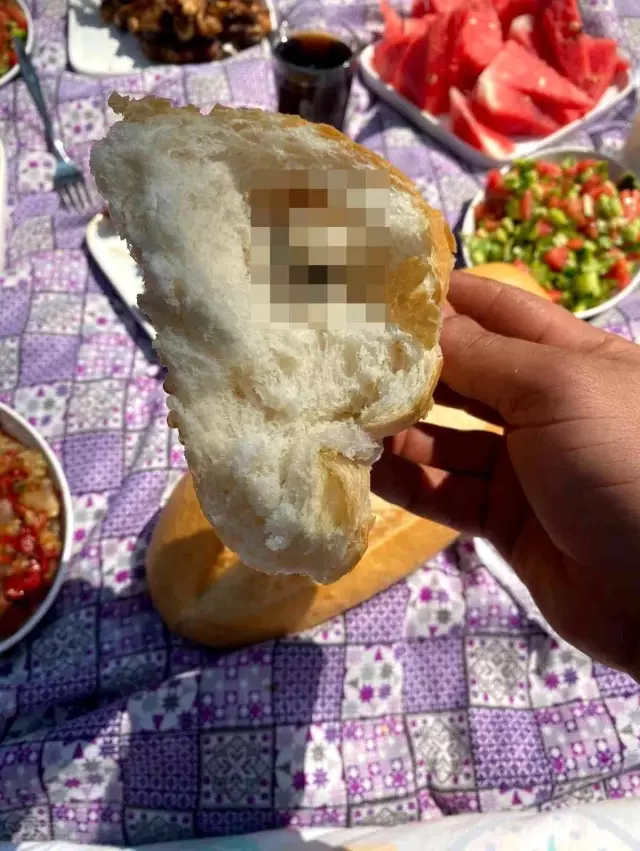 Ailesiyle gittiği piknik zehir oldu! Böldüğü ekmeğin içinden ölü fare çıktı