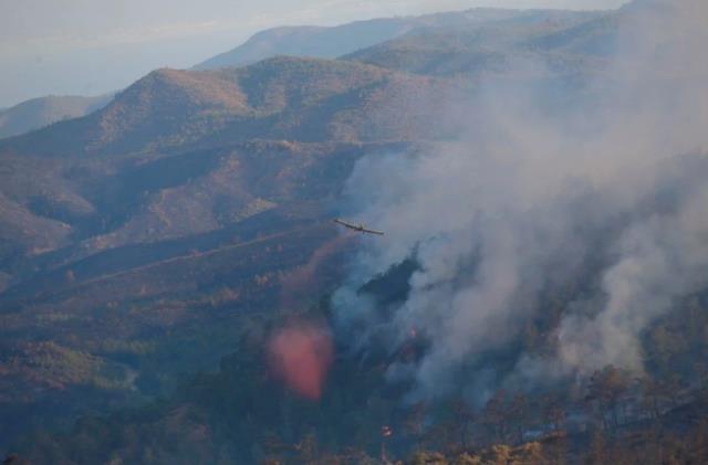 Türkiye'yi ağlatan kareler! Havadan çekilen görüntüler Marmaris yangının büyüklüğünü gözler önüne serdi