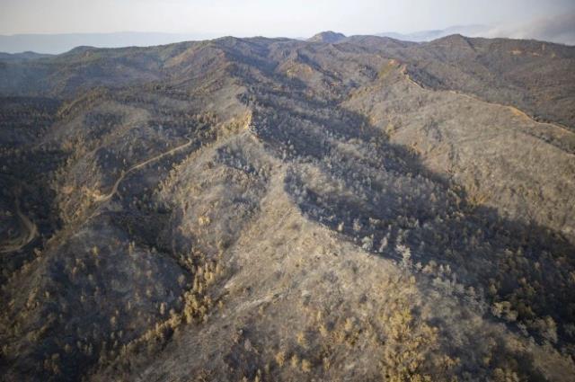Türkiye'yi ağlatan kareler! Havadan çekilen görüntüler Marmaris yangının büyüklüğünü gözler önüne serdi