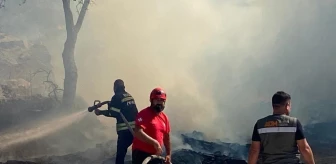 Son Dakika | Fırında çıkan yangın, makilik alana sıçradı