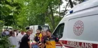 Ordu'da öğretim görevlilerini taşıyan midibüs kaza yaptı: Dekan öldü, 19 yaralı