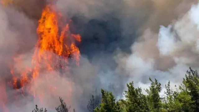Son Dakika! Marmaris'te 5 gündür devam eden orman yangını tamamen kontrol altına alındı
