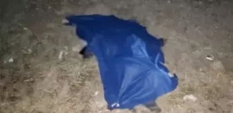 Oğluna süt almaya giden babanın ölümüne neden olan sürücü adli kontrolle serbest kaldı