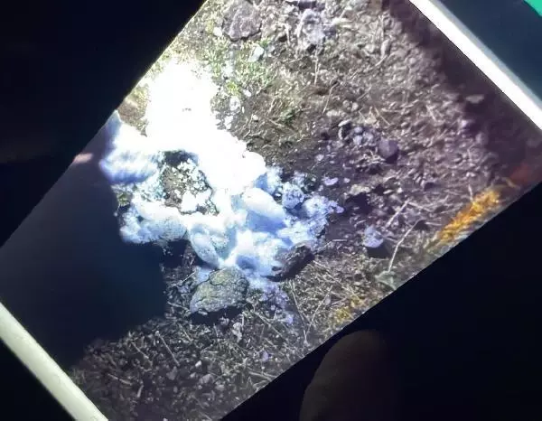 Gökten buz kültesi düştü, çoban 'bomba' korkusu yaşadı Gökten buz kültesi düştü, çoban 'bomba' korkusu yaşadı