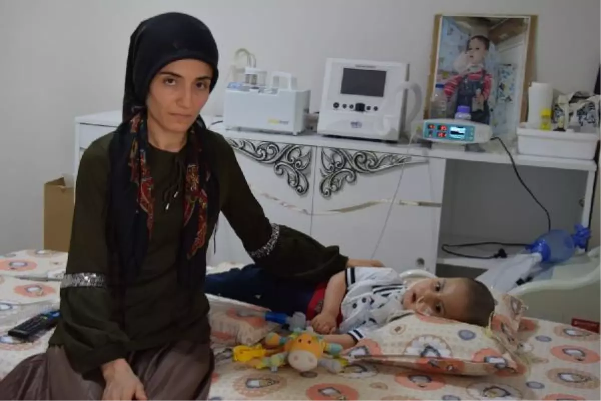Makineye bağlı SMA'lı Ali'nin tedavi için 4 ayı kaldı