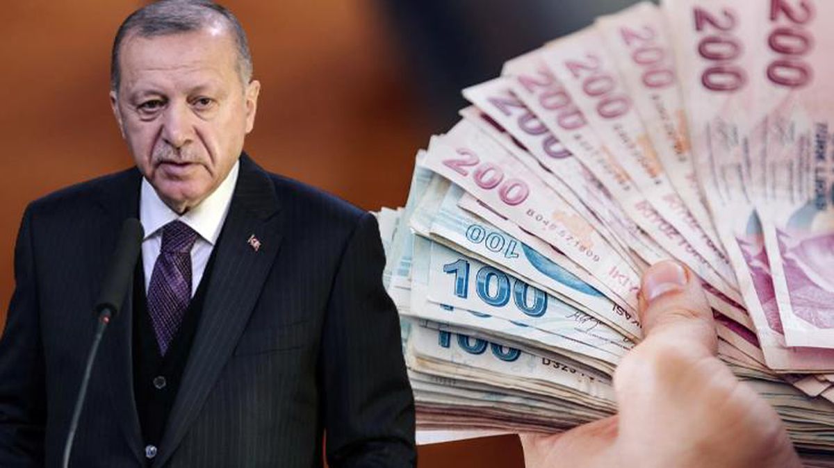 Yılda 4 milyon haneye can suyu olacak! Erdoğan'ın duyurduğu Aile Destek Programı'na başvurular bugün başladı