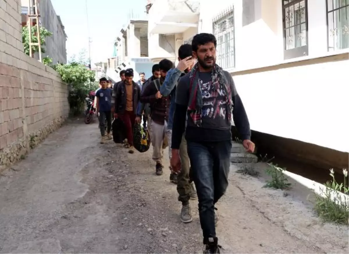 Van'da, Afganistanlı 20 kaçak göçmen yakalandı