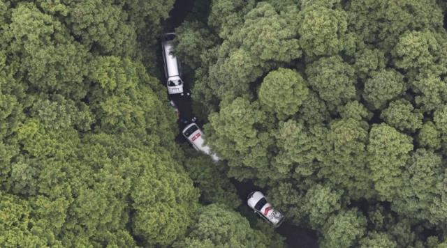 Japon yetişkin film yıldızı, ormanda çıplak şekilde ağaca bağlı halde ölü bulundu
