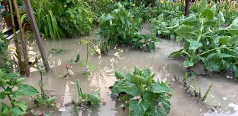 Beypazarı'nda evleri ve ekili araziyi sel vurdu