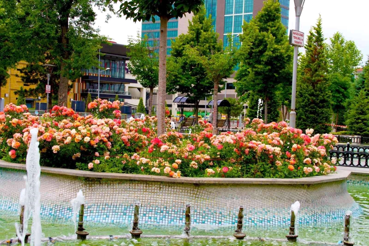 Büyükşehir belediyesinden 'En güzel bahçe' Yarışması