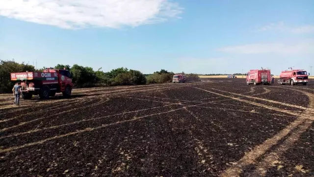 Son dakika haberleri... İstanbul Tekirdağ sınırında korkutan yangın: 500 dönüm buğday 15 dakikada küle döndü