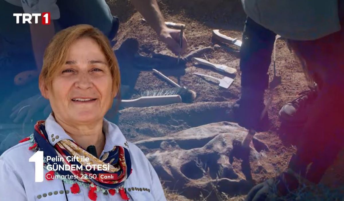 Prof. Dr. Ayla Sevim Erol kimdir? Kaç yaşında, nereli, mesleği ne? Pelin Çift ile Gündem Ötesi konuğu Ayla Sevim Erol kimdir?