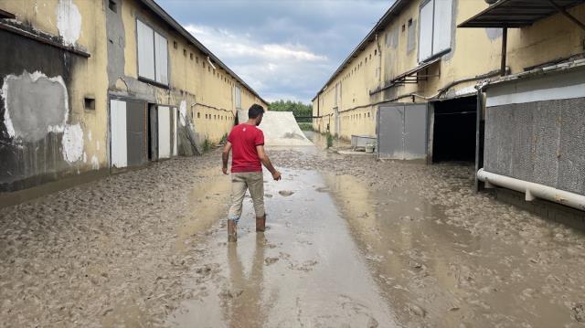 Sele teslim olan köyde tavuk çiftliğindeki 195 bin hayvan telef oldu! Çiftçi iflas bayrağını çekmek üzere