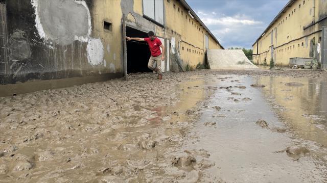 Sele teslim olan köyde tavuk çiftliğindeki 195 bin hayvan telef oldu! Çiftçi iflas bayrağını çekmek üzere