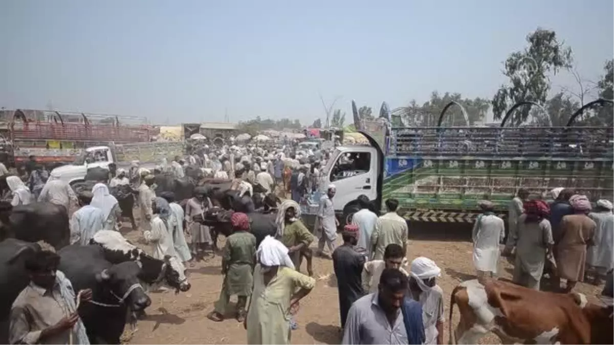 Pakistan'da Kurban Bayramı hazırlıkları