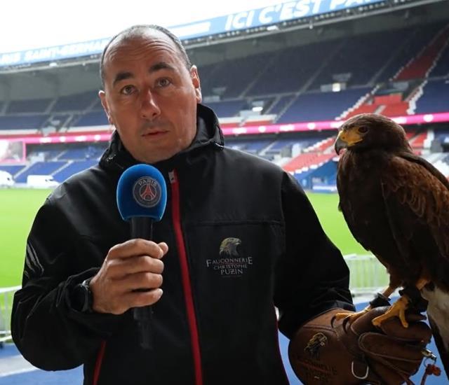 PSG'den saha zeminini korumak için akıllara durgunluk veren yöntem! Statta artık şahinler görev yapacak