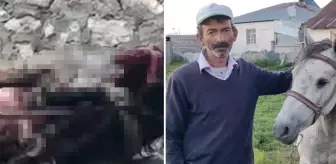 Yasaklı ırkın saldırısında atı ölümden dönmüştü, köpek sahibinin hediyesiyle sevince boğuldu